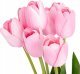 Atmosphera Sztuczne tulipany różowe SATIS, 10 kwiatów 1