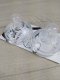 Tommee Tippee 245878 SMOCZEK BUTELKOWY VARI FLOW 10