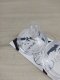Tommee Tippee 245878 SMOCZEK BUTELKOWY VARI FLOW 14