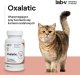 LAB V LAB-V Oxalatic  Wsparcie dla kotów przy tworzeniu się kamieni oksalatowych 45 kapsułek 2