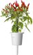 Click And Grow Click & Grow Smart Garden refill Piri Piri Chili Pepper 3pcs 4
