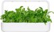 Click And Grow Click & Grow Smart Garden refill Mibuna 3pcs 2