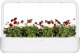 Click And Grow Click & Grow Smart Garden Refill Red Pansy 3pcs 4