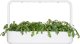 Click And Grow Click & Grow Smart Garden refill Shungiku 3pcs 1