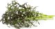Click And Grow Click & Grow Smart Garden refill Red Frill Mustard 3pcs 1