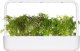 Click And Grow Click & Grow Smart Garden refill Red Frill Mustard 3pcs 3