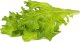 Click And Grow Click & Grow Smart Refill Oakleaf Lettuce 3pcs 1