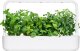 Click And Grow Click & Grow Plant Pod Calming Tea Mix 9pcs 2
