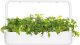 Click And Grow Click & Grow Smart Refill Mizuna 3pcs 1