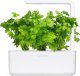 Click And Grow Click & Grow Smart Garden Refill Leaf Celery 3pcs 1