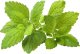 Click And Grow Click & Grow Smart Garden refill Lemon Balm 3pcs 2