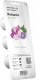 Click And Grow Click & Grow Smart Garden refill Petunia 3pcs 1