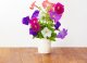 Click And Grow Click & Grow Smart Garden refill Petunia 3pcs 2