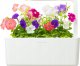Click And Grow Click & Grow Smart Garden refill Petunia 3pcs 3