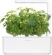 Click And Grow Click & Grow Smart Garden refill Thai Basil 3pcs 1