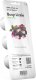 Click And Grow Click & Grow Smart Garden refill Busy Lizzie 3pcs 2