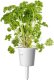 Click And Grow Click & Grow Plant Pod Steak Mix 9pcs 4