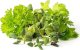 Click And Grow Click & Grow Plant Pod Steak Mix 9pcs 5