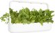 Click And Grow Click & Grow Smart Garden refill Green Chard 3pcs 1