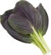 Click And Grow Click & Grow Smart Garden refill Punane Bok Choy 3pcs 1