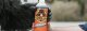 Gorilla Sports Gorilla glue 1l 12