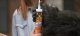 Gorilla Sports Gorilla glue Grab Adhesive 290ml 10