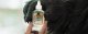 Gorilla Sports Gorilla glue Clear 110ml 5
