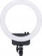 Lampka biurkowa Nanlite Nanlite ring light Halo16 LED 1