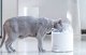 Catlink Filtry wymienne do fontanny Catlink Pure 2 (2 sztuki) 4