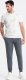 Ombre Bawełniane dresowe spodnie męskie joggery BASIC  grafitowe V11 OM-PABS-0174 XXL 3