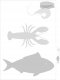 Herma Herma Folder Star of the Kitchen DIN A4          19662 7