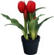 Saska Garden TULIPANY W DONICZCE 5 SZT CZERWONE 23CM JAK ŻYWE DEKORACJA WIOSENNA 2
