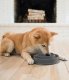 Outward Hound Outward Hound Fun Feeder Mini Miska spowalniająca szara [69891] 3