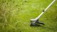 Bosch Bosch cordless lawn trimmer AdvancedGrassCut 36V-33 solo (green/black, without battery and charger) 16