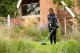 Bosch Bosch cordless lawn trimmer AdvancedGrassCut 36V-33 solo (green/black, without battery and charger) 3