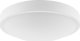 Lampa sufitowa Lamkur Lamkur Jonas 44392 plafon lampa sufitowa nowoczesny metalowy szklany klosz 2x60W E27 biały 2