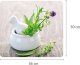 Wenko Szklana płyta ochronna HERB GARDEN na kuchenkę – duża, WENKO 3