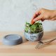 Quokka Quokka Bubble Food Jar - Pojemnik na żywność / lunchbox 500 ml (Zen) 1