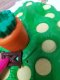 Ravensburger Ravensburger Lotti Karotti: The twisted Rabbit Race 3