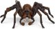 Figurka Schleich Schleich Wizarding World Aragog, toy figure 3