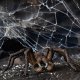 Figurka Schleich Schleich Wizarding World Aragog, toy figure 4