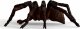 Figurka Schleich Schleich Wizarding World Aragog, toy figure 7