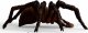Figurka Schleich Schleich Wizarding World Aragog, toy figure 8