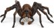 Figurka Schleich Schleich Wizarding World Aragog, toy figure 10