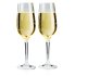 GSI Outdoors NESTING CHAMPAGNE FLUTE SET 2
