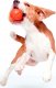 DOGGY LIKER 5 4