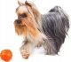DOGGY LIKER 5 10