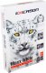 Emerson PAPIER KSERO A4 75G EMERSON MAXX WHITE BIAŁY 161 CIE 500 ARK 4