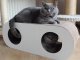 LUPI PETS Gattino Drapak 10 Felek dąb lancelot 5