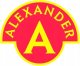 Alexander Mały konstruktor junior 100el 25620 5